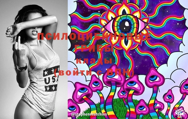 марки lsd Новодвинск