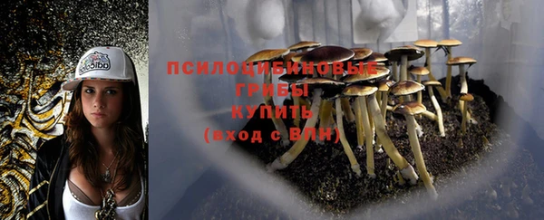 марки lsd Новодвинск