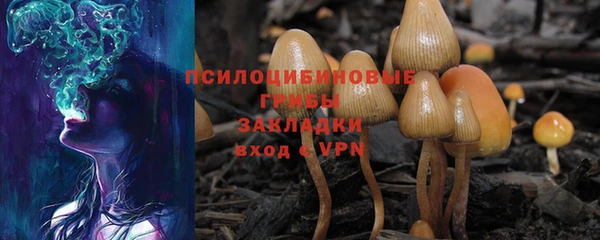марки lsd Новодвинск