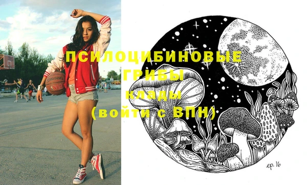 марки lsd Новодвинск
