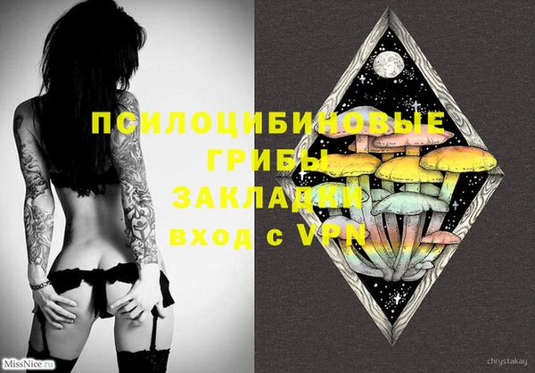 метадон Новозыбков