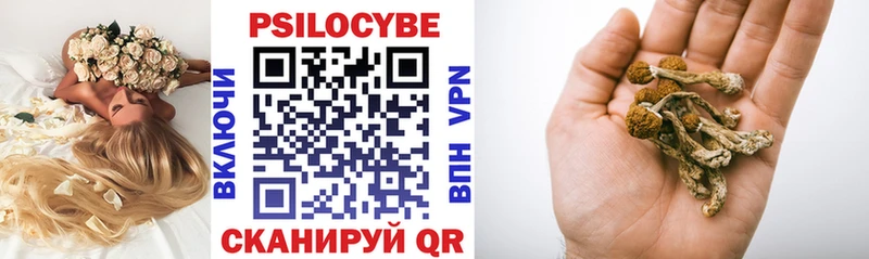 Галлюциногенные грибы Psilocybine cubensis  где можно купить   OMG зеркало  Почеп 
